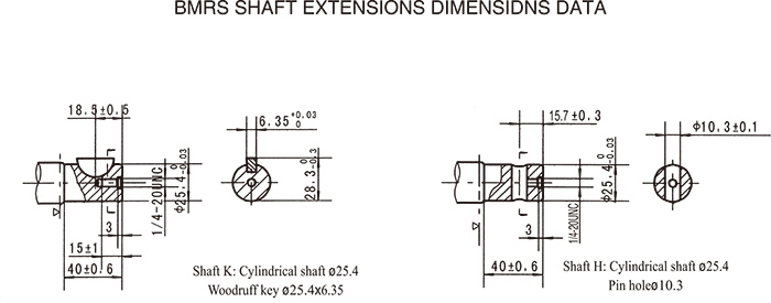 Hydraulic Chainsaw Motor Orbit Motor OMR Bmr Mr